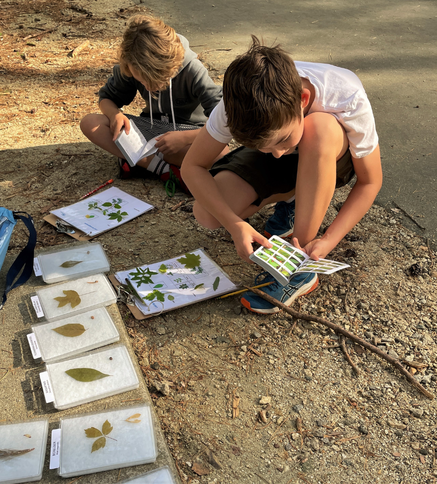 Children studying leaves on the side of a trail