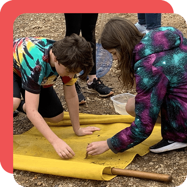 Children examining sticks